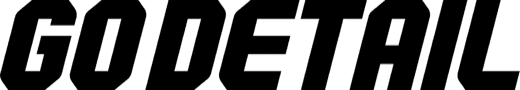 GoDetail logo